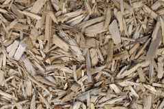 biomass boilers Lanjew